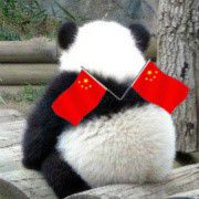 为什么百度贴吧那么多熊猫烧香拜佛头像?为什么那么多像一只灰色老鼠头像草原平头哥蜜獾头像?