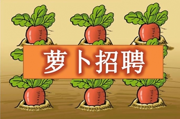 事业单位考试“萝卜招聘”是什么意思?考试真有萝卜招聘吗?
