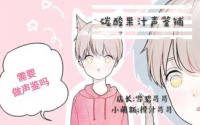 极少人知道的声鉴卡小项目,网络赚钱新手还不知道怎么赚钱吗?