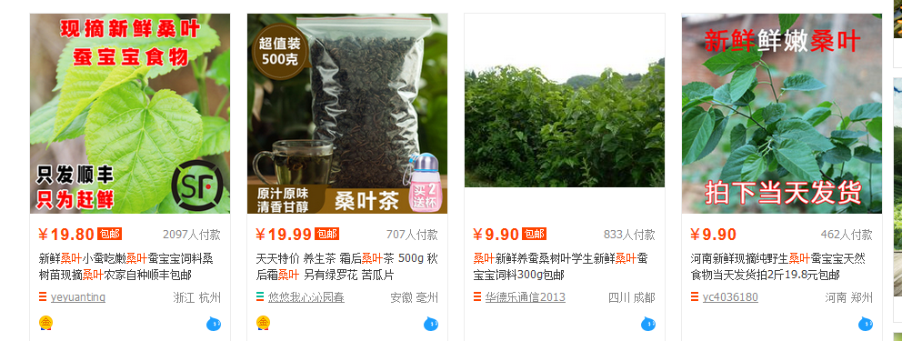 网上卖桑叶送蚕宝宝,貌似亏本的赚钱生意