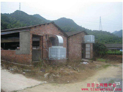 夏天,养鸡场可以装空调吗?