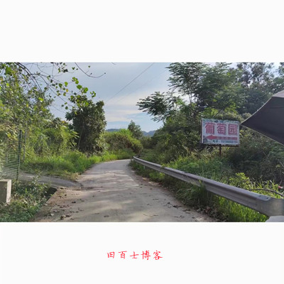 宣汉杨家河葡萄采摘园怎么样?